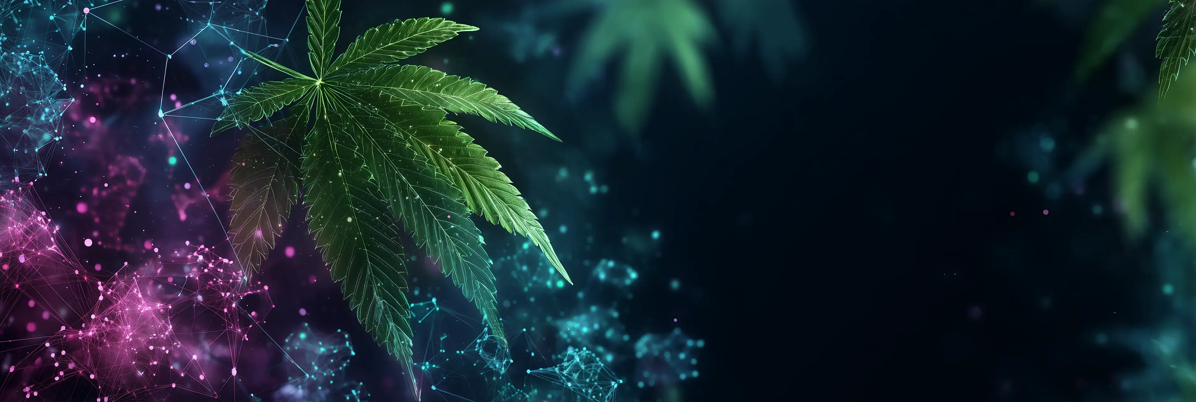 Schedule Lab Schedule Lab